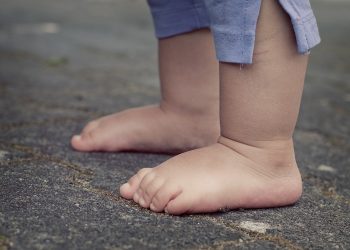 Los censos que realizan los servidores de la nación…
