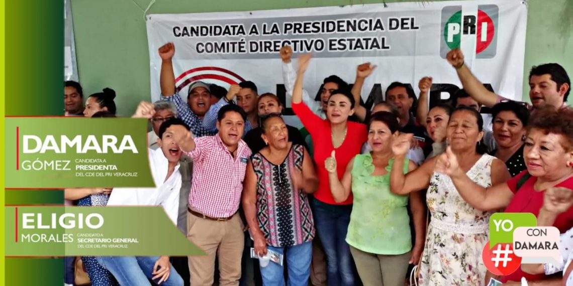 DAMARA GOMEZ PICA PIEDRA  EN BUSCA DE LA DIRIGENCIA ESTATAL