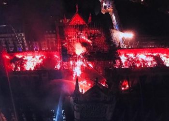 Incendio en Notre Dame: La Santa Sede recibe la noticia con “conmoción” y “tristeza”