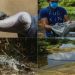 Veracruz, número uno en contaminación por derrames de Pemex