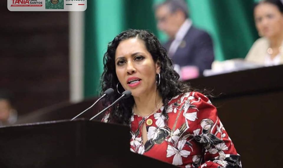 TANIA EXIGE REDUCCION DE COSTOS DE CFE