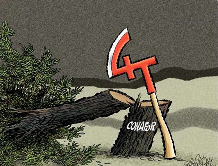Caricatura Política.-Crisis en Conafor