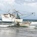 Encalla pesquero en playa de Coatzacoalcos