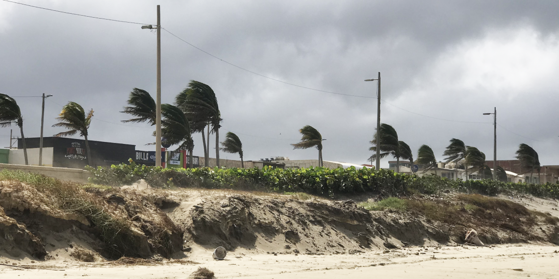 Podrían emitir Alerta Gris en Veracruz﻿ debido a «norte» violento por FF12