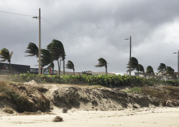 Podrían emitir Alerta Gris en Veracruz﻿ debido a «norte» violento por FF12