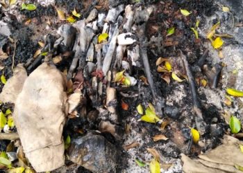 *Queman cadáveres en el Semefo de Coatzacoalcos