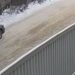 VER VIDEO: Un pedófilo secuestra a una niña, y un adolescente la salva