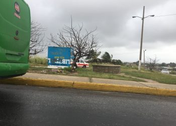 De Cabeza expendio de periódicos en COATZA