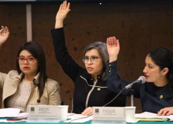 Avanza la legalización del aborto