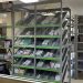 Escasez de medicinas en hospitales públicos