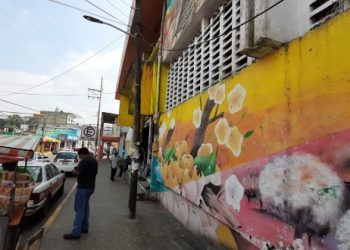 Ambulantes de Nanchital no se colocarán este 14 de Febrero