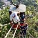 Familia es rescatada tras quedar atrapada en Teleférico