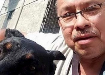 ONU-DH condena el asesinato del periodista Jacinto Romero Flores en Veracruz