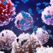 Crean láser capaz de identificar y destruir células cancerígenas