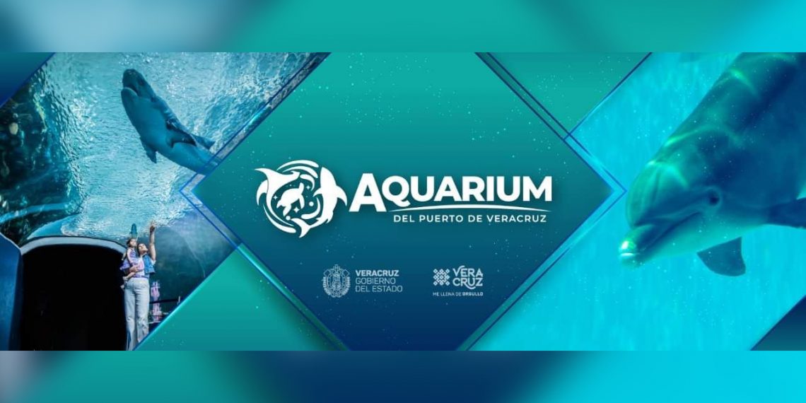 Así es la nueva imagen del Aquarium de Veracruz
