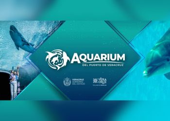 Así es la nueva imagen del Aquarium de Veracruz