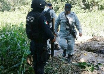 *Estos son los municipios veracruzanos más huachicoleros*