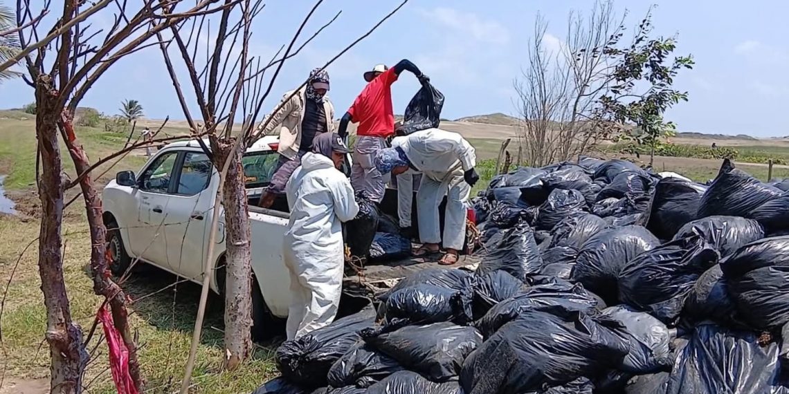 El mar ya no es refugio, es riesgo
